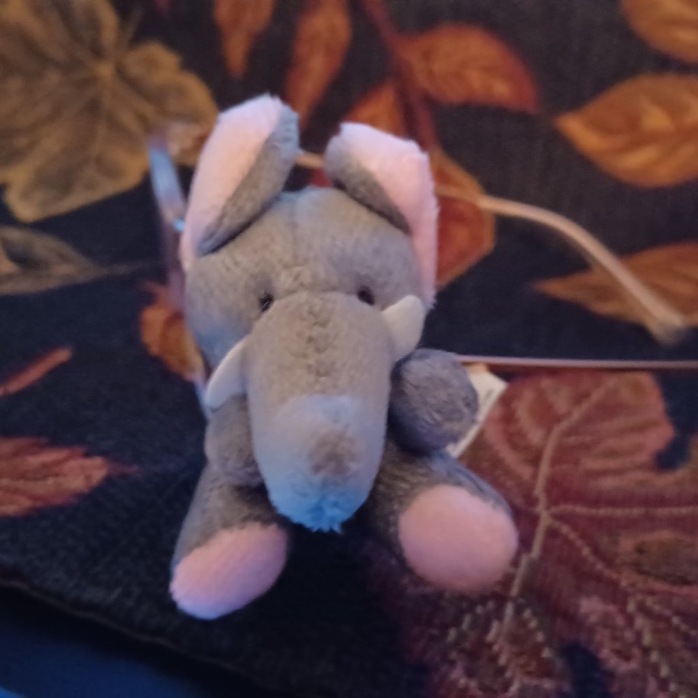 New Vintage Icon Eyewear Kids Eyeglasses buddy / Pal Elephant Fit All Glasses